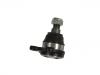 Ball Joint:54524-44001